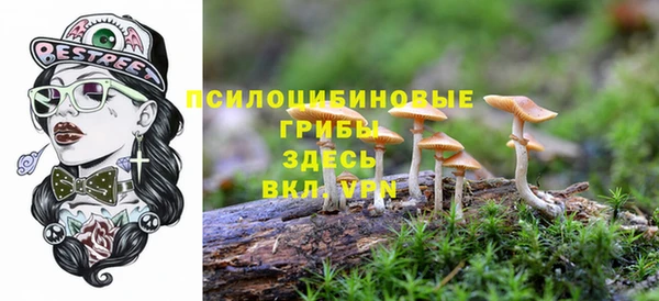 спиды Белокуриха