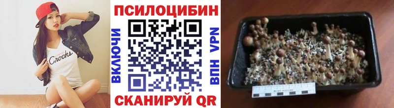 Галлюциногенные грибы мицелий  Купить где  Кисловодск 